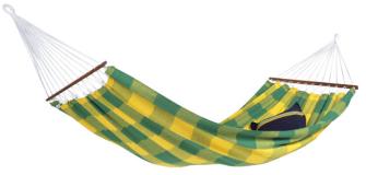 Brasilia kiwi